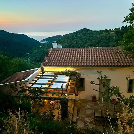 Olive Mill Cottage Skopelos Extérieur photo